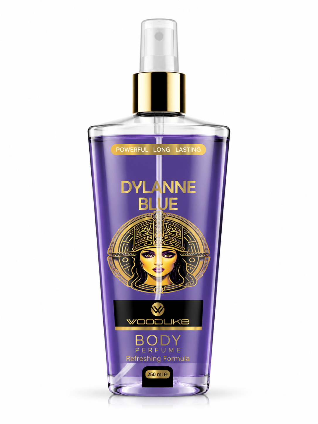 بادی اسپلش مردانه وودلایک مدل DYLANNE BLUE حجم 250 میل